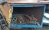 Metal Box